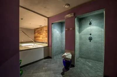 a bathroom with a shower and a toilet and a sink at Albergo Alla Rosa in Canazei