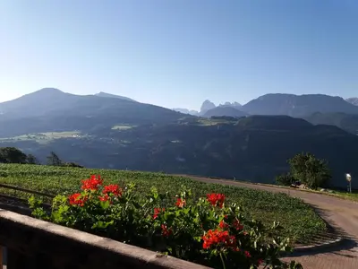 a group of three boys laying in the grass at Schweiggerhof -Agriturismo- Farm Holidays in Villandro