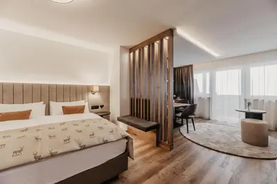 a living room with a couch with two pillows at Freina Mountain Lifestyle Hotel in Selva di Val Gardena