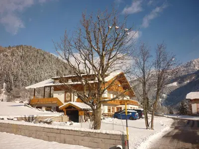 a building in the snow with a tree at Pension Wiesenhof in Campo di Trens