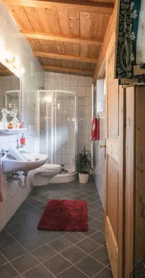 a bathroom with a toilet and a sink and a shower at Pension Wiesenhof in Campo di Trens