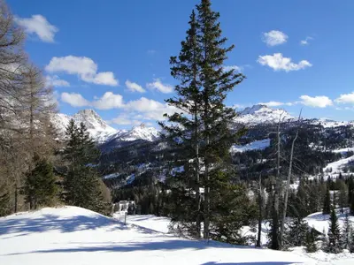 a pine tree on top of a snow covered mountain at Garni Irsara in San Cassiano