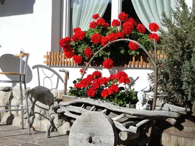 a bench in front of a window with red geraniums at Garni Irsara in San Cassiano
