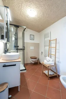 a bathroom with a shower and a sink and a toilet at Schloss-Castel Pienzenau - Guestrooms & Apartments - B&B-Hotel & Restaurant in Merano
