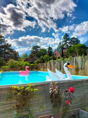 two swans and ducks in a swimming pool at Schloss-Castel Pienzenau - Guestrooms & Apartments - B&B-Hotel & Restaurant in Merano