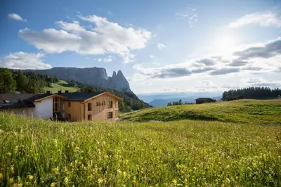 a house in a field of grass with mountains in the background at Hotel Seelaus in Alpe di Siusi