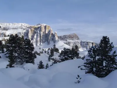 a snow covered mountain with trees in the foreground at Garni Val Udai in Mazzin
