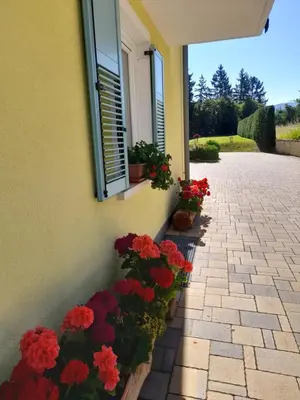 a building with flowers on the side of it at Agritur Belsogno B&B in Brez