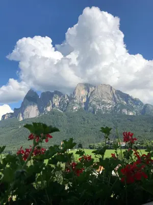 a view of a mountain range with flowers in the foreground at Mesnerhof my Paradise in Fiè