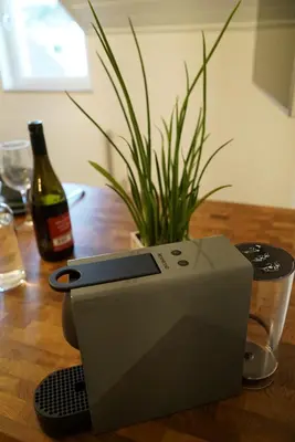 a plant sitting on a table next to a bottle of wine at Life Studio & City Bike in Bolzano