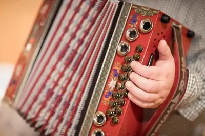 a person playing an accordion with their hand at Hotel Alpenhof in Ultimo