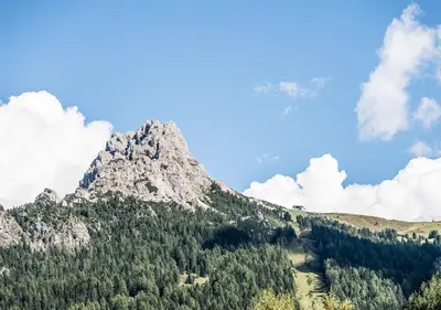 a mountain in the middle of a forest at Wellness Residence Villa Leck in Selva di Val Gardena