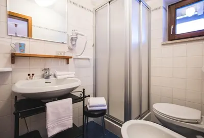 a bathroom with a sink and a toilet and a shower at Albergo Vezzana in Passo Rolle