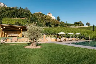 a lawn with chairs and umbrellas next to a pool at Egarter in Appiano sulla Strada del Vino
