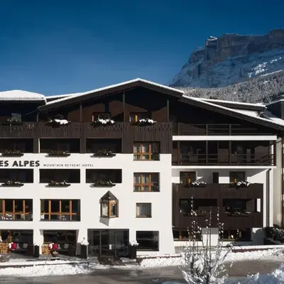 Hotel Des Alpes