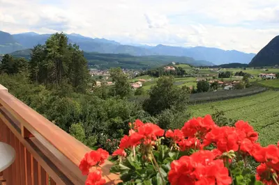 a view of a valley from a balcony with red flowers at Kreuzstein Bed&Breakfast in Appiano sulla Strada del Vino