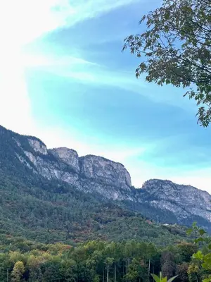 a mountain view with trees and mountains in the background at Kreuzstein Bed&Breakfast in Appiano sulla Strada del Vino