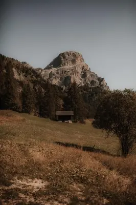 a barn in a field in front of a mountain at Chalet Roenn in Colfosco
