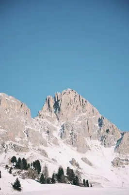 a person walking through a pile of snow with a dog at Residence Rododendro in Passo San Pellegrino