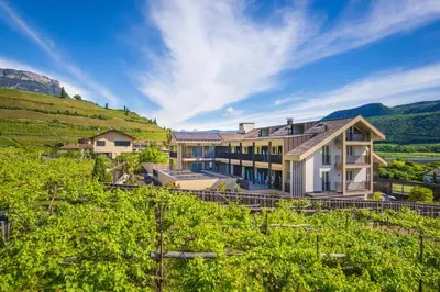 a house in a vineyard with mountains in the background at Garni Hotel Sonnleitenhof in Caldaro