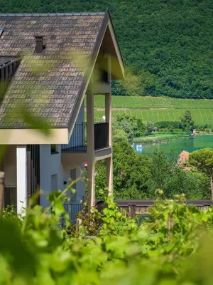 a house with a view of a river and vineyards at Garni Hotel Sonnleitenhof in Caldaro