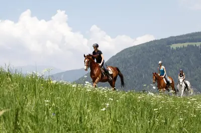 two people riding horses in a field of grass at Landhotel Tharerwirt in Valdaora