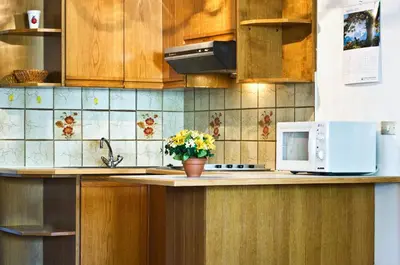 a kitchen counter with a microwave and a vase of flowers at Sonnen Residence in Collalbo