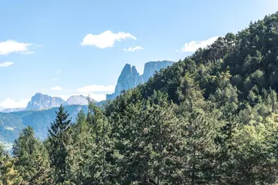 a mountain with trees and mountains in the background at Apartments Waldquell in Collalbo