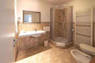 a bathroom with a sink and a shower and a toilet at Apartments Waldquell in Collalbo