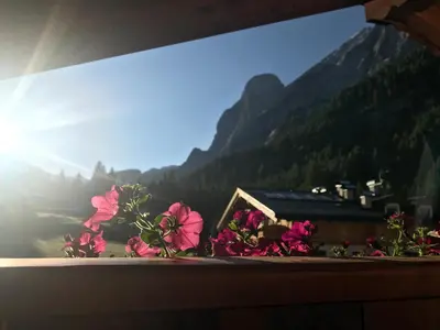 a bunch of flowers on a window sill with mountains at Cesa Mandi e Miky in Canazei