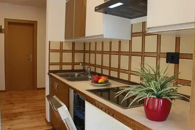a kitchen with a sink and a potted plant at Ciasa Alfri in La Villa