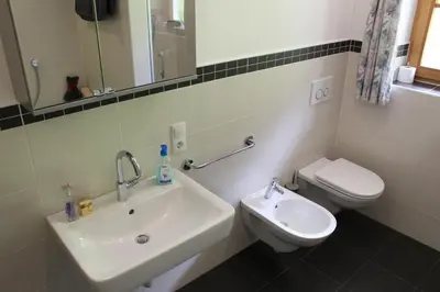 a bathroom with a sink and a toilet at Volggerhof in Racines