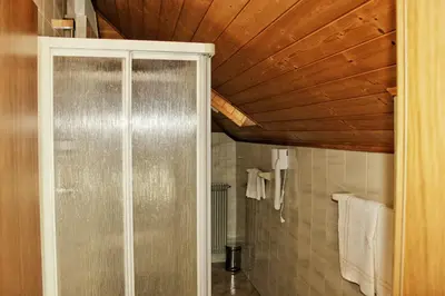 a shower in a bathroom with a wooden ceiling at Albergo Hofer in Bolzano