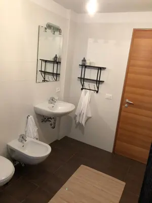 a bathroom with a sink and a toilet and a mirror at Apartment Himmelreich in Brunico
