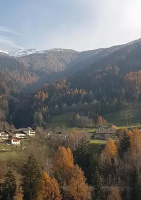 a view of a valley with trees and mountains at Temblhof in Vipiteno