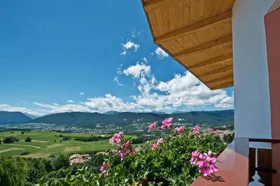 a view from the balcony of a house with pink flowers at La Montanina Hotel in Val di Non in Malosco