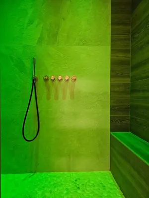 a green bathroom with a shower with a hose at Hotel Barance in Alleghe
