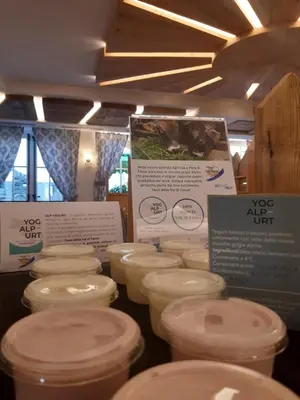 a bunch of toilets are lined up in a room at Hotel El Pilon in Pozza di Fassa