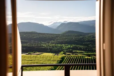 a view of a vineyard from a window at Residence Tannhof in Caldaro