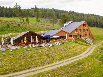 a large wooden building on a grassy hill at Oberhauser Hütte Rodenecker - Lüsner Alm in Luson