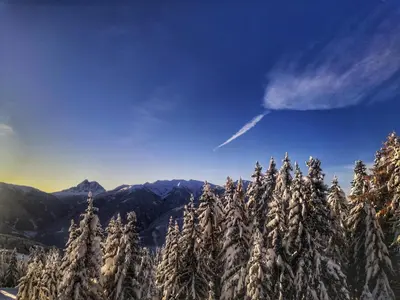 a group of trees covered in snow on a mountain at Oberhauser Hütte Rodenecker - Lüsner Alm in Luson
