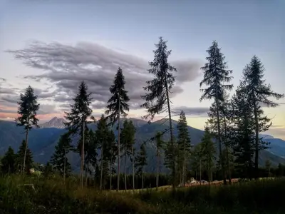 a group of trees on top of a mountain at Oberhauser Hütte Rodenecker - Lüsner Alm in Luson