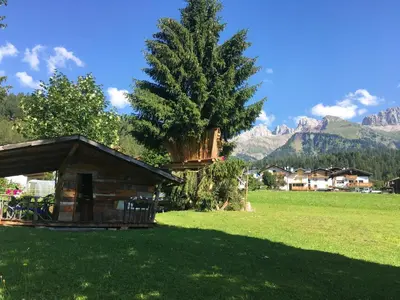 a small cabin in a field with a tree at Tana del Picchio in Falcade