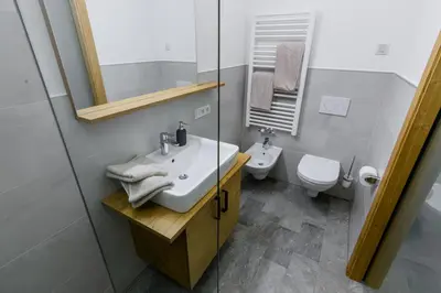a bathroom with a sink and a toilet at Mair am Anger-Appartments in Riscone