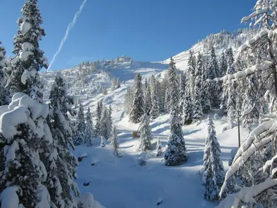 a snow covered mountain with trees and snow covered forests at Hotel Garni Elisir in Arabba