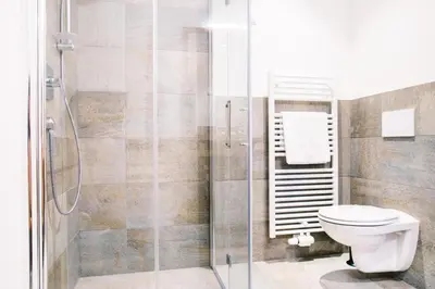 a bathroom with a toilet and a shower at Gasthof Hotel Wöhrmaurer in Feldthurns