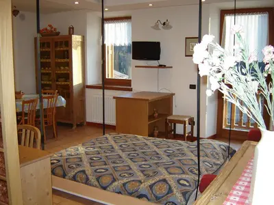 a bedroom with a bed and a desk and a television at Residenza Domino in Selva di Cadore