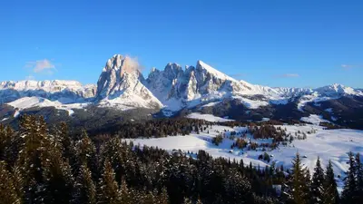 a view of a mountain with snow and trees at Apartments Heritage House Margherita in Santa Cristina in Val Gardena