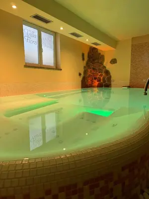 a jacuzzi tub in a room with a rock wall at Villa Flora by AMA Val di Fassa in Canazei