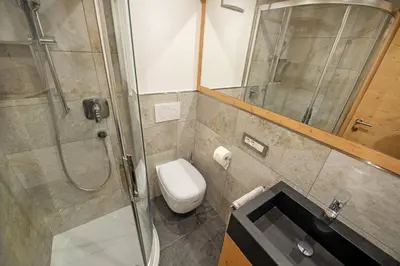 a bathroom with a shower and a toilet and a sink at Apartments Alpen Domus in Selva di Val Gardena